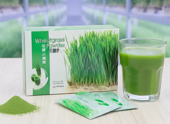 Fresh wheatgrass roots with rich chlorophyll and nutrients